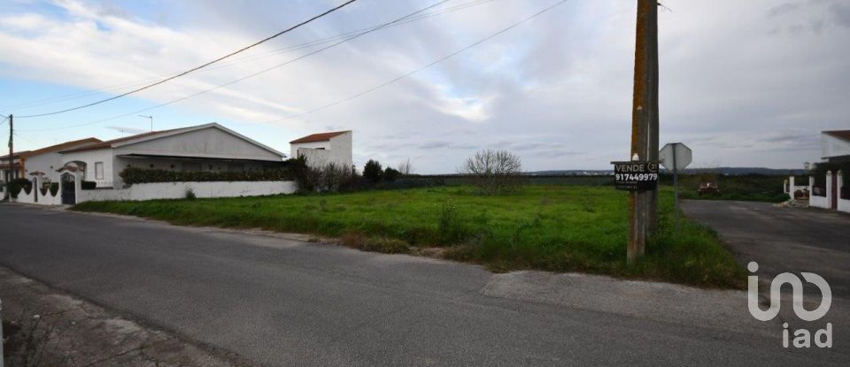 Land in Azinhaga of 375 m²