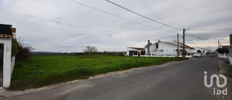 Land in Azinhaga of 375 m²