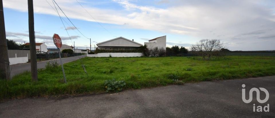 Land in Azinhaga of 375 m²