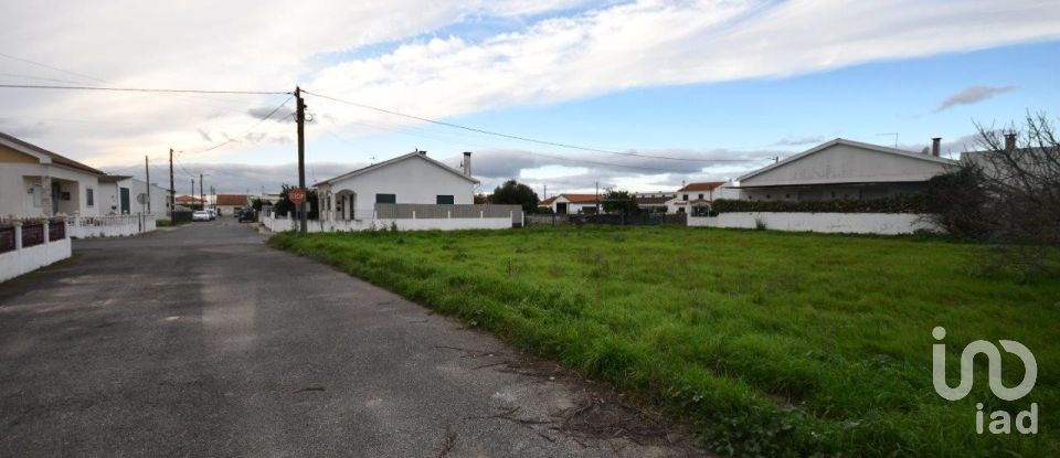 Land in Azinhaga of 375 m²