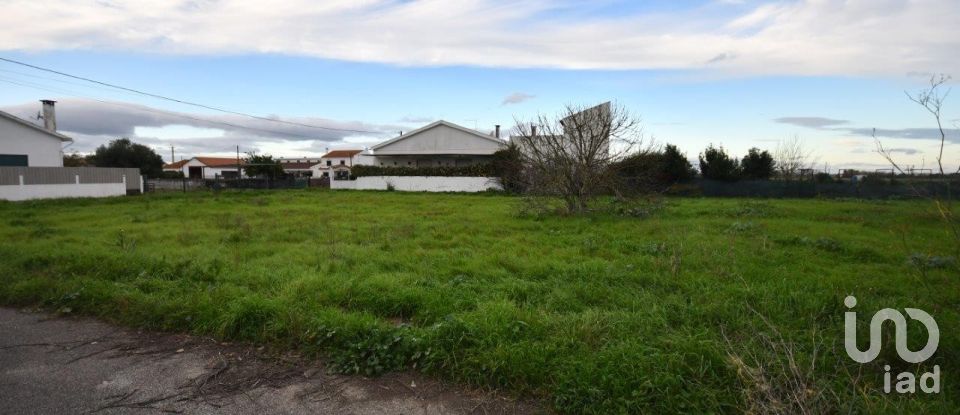 Land in Azinhaga of 375 m²