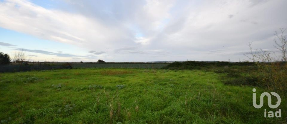Land in Azinhaga of 375 m²