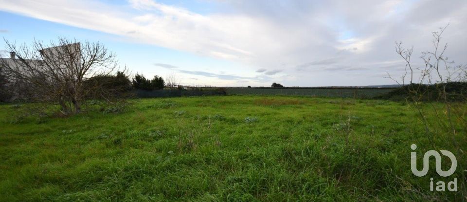 Land in Azinhaga of 375 m²