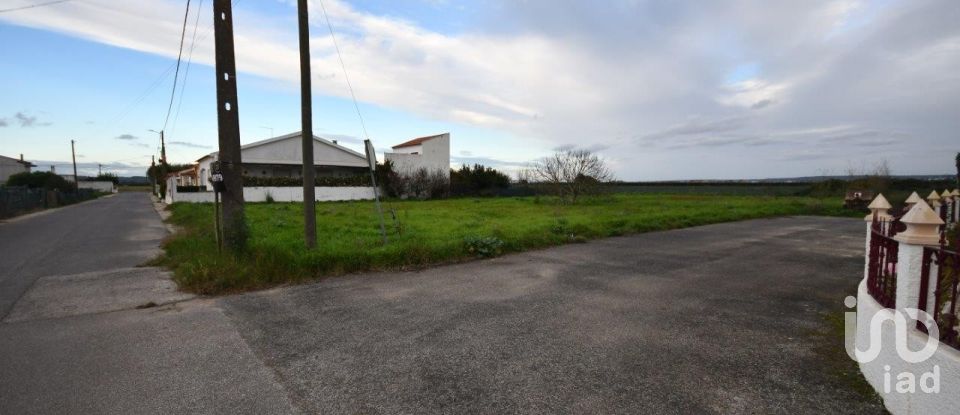 Land in Azinhaga of 375 m²