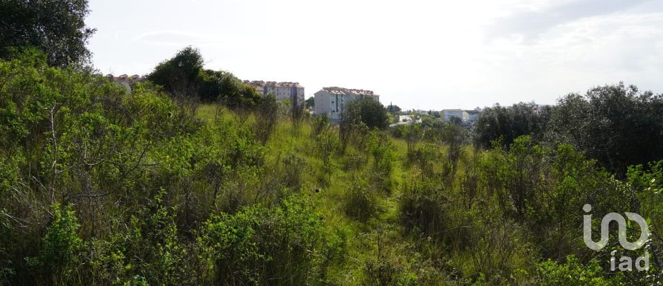 Terreno urbano em Eiras E São Paulo De Frades de 15 300 m²