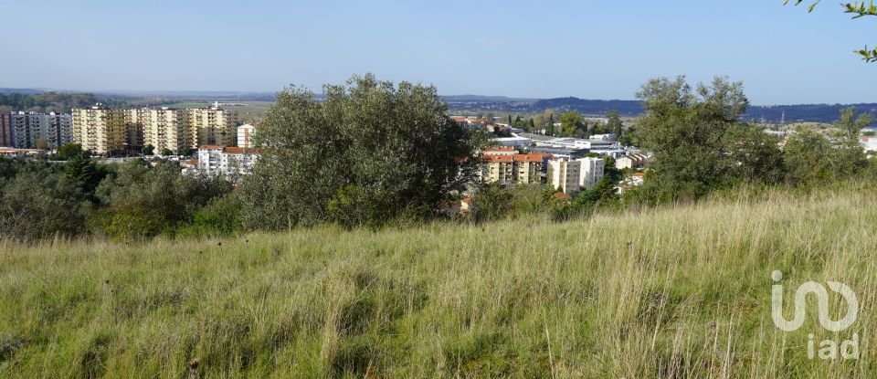 Terreno urbano em Eiras E São Paulo De Frades de 15 300 m²