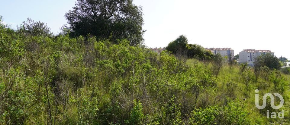 Terreno urbano em Eiras E São Paulo De Frades de 15 300 m²