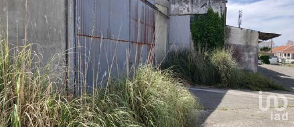 Shop / premises commercial in Queluz e Belas of 8,800 m²