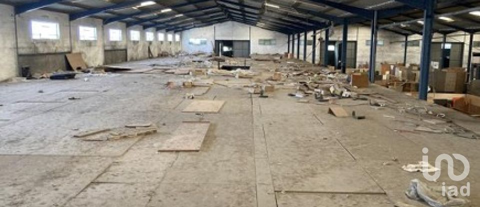 Shop / premises commercial in Queluz e Belas of 8,800 m²