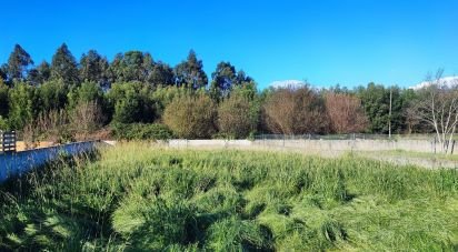 Maison T4 à Cortegaça de 238 m²