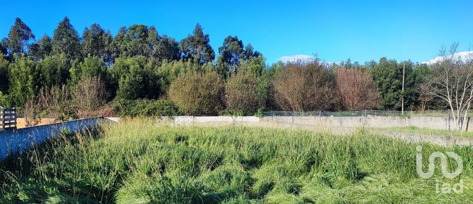 Maison T4 à Cortegaça de 238 m²