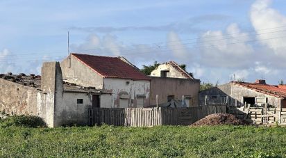 Maison T2 à Atouguia da Baleia de 105 m²