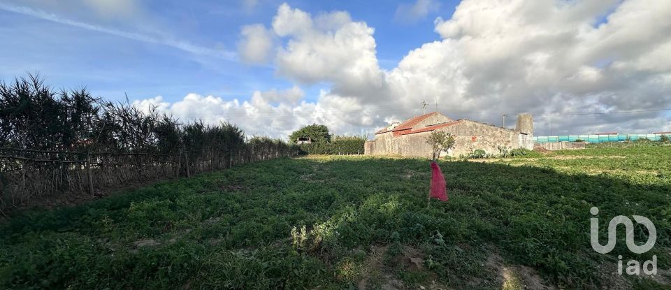 Maison T2 à Atouguia da Baleia de 105 m²