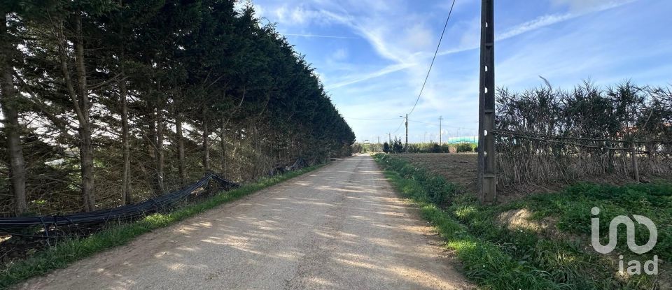 Maison T2 à Atouguia da Baleia de 105 m²