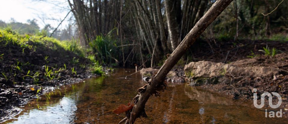 Moradia T3 em Espariz e Sinde de 112 m²