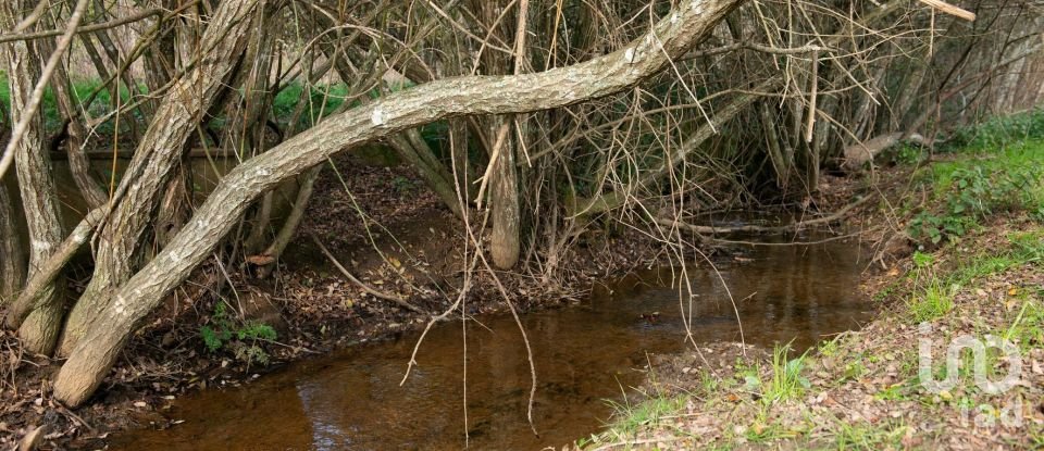 Moradia T3 em Espariz e Sinde de 112 m²