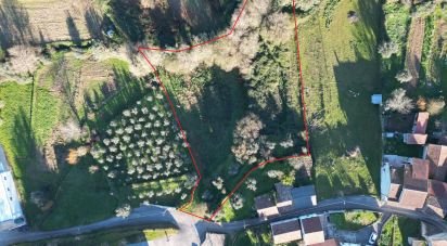 Terrain à bâtir à Vila Nova de 1 330 m²