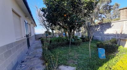 House T4 in Cousso of 160 m²