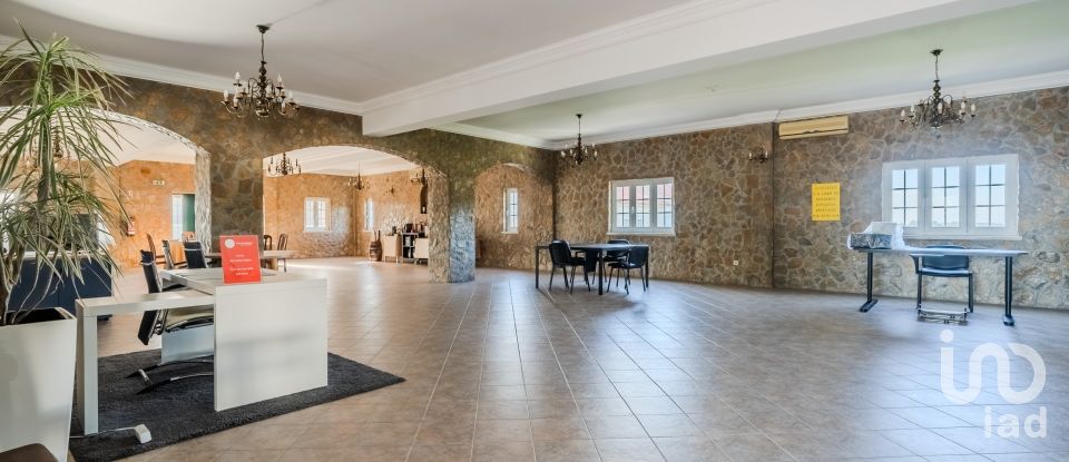 Quinta T2 em Silveira de 926 m²