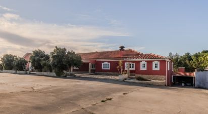 Ferme T2 à Silveira de 926 m²