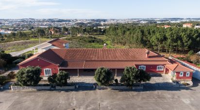Ferme T2 à Silveira de 926 m²