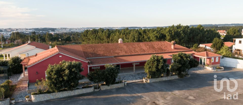 Quinta T2 em Silveira de 926 m²