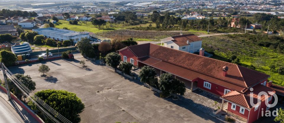 Quinta T2 em Silveira de 926 m²