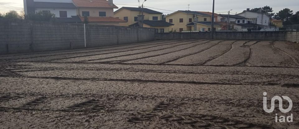 Terrain à Estela de 392 m²