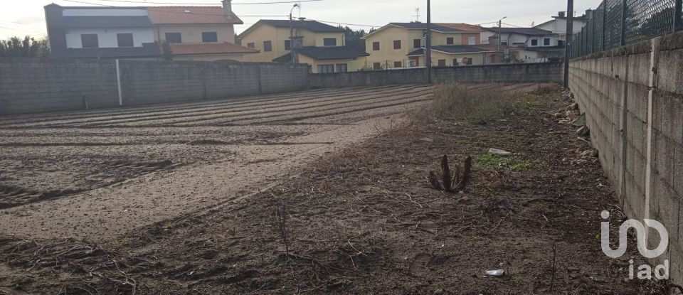 Terrain à Estela de 392 m²