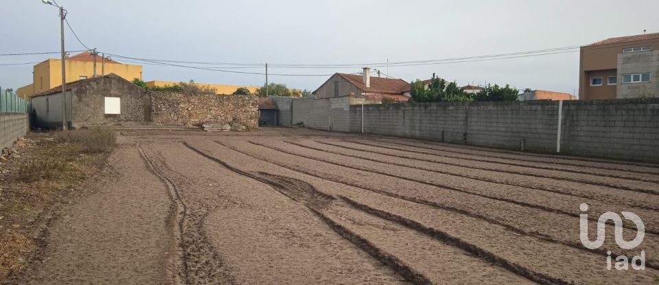 Terrain à Estela de 392 m²