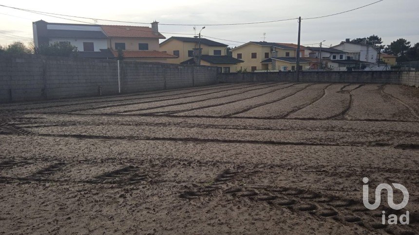 Terrain à Estela de 392 m²