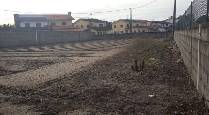 Terrain à Estela de 392 m²