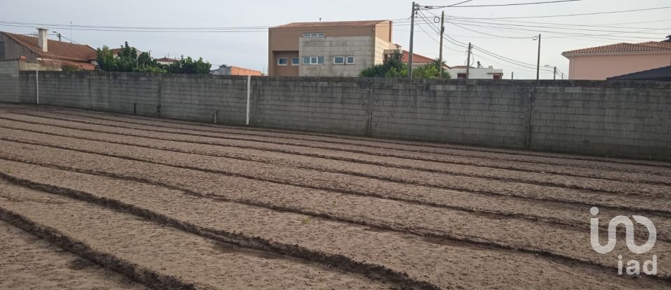 Terrain à Estela de 407 m²