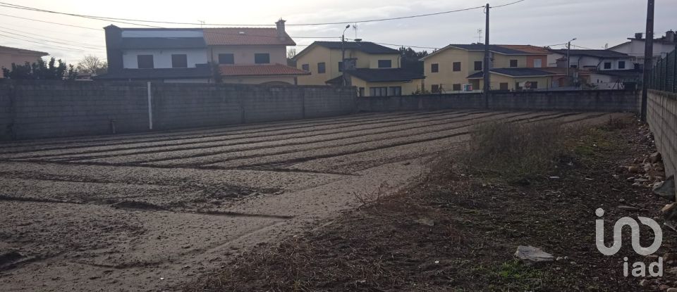 Terrain à Estela de 407 m²