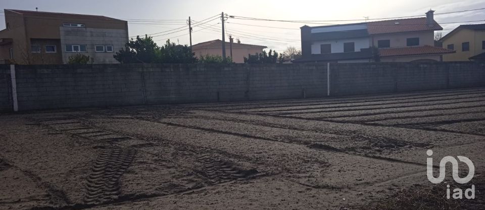 Terrain à Estela de 407 m²