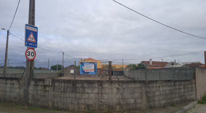 Terrain à Estela de 407 m²