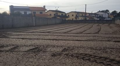 Terrain à Estela de 407 m²