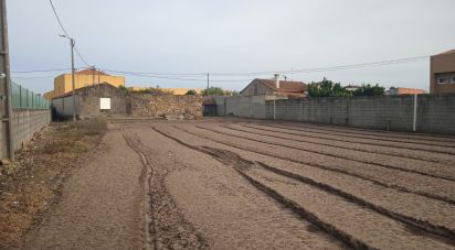 Terrain à Estela de 407 m²