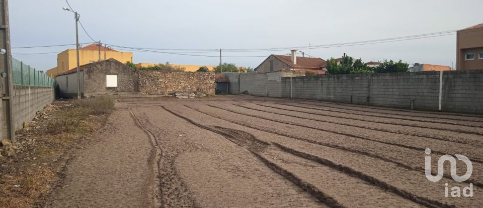 Terrain à Estela de 407 m²