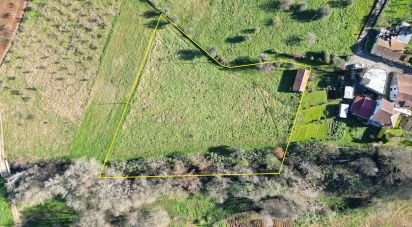 Terrain à bâtir à São Miguel, Santa Eufémia e Rabaçal de 3 300 m²