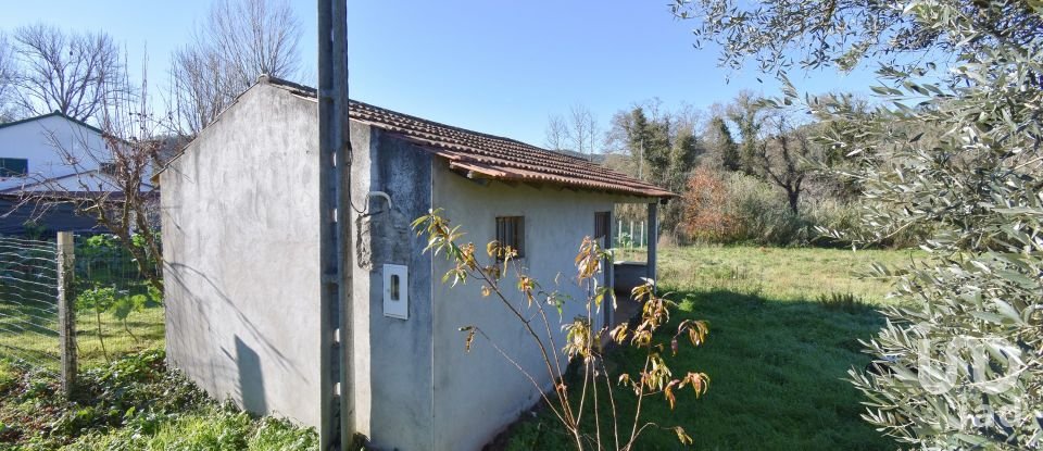 Terreno urbano em São Miguel, Santa Eufémia e Rabaçal de 3 300 m²