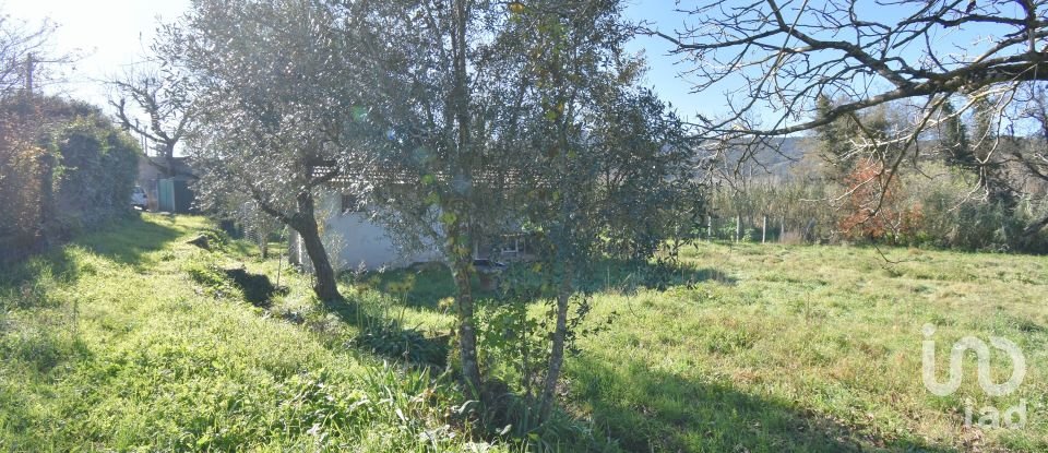 Terreno urbano em São Miguel, Santa Eufémia e Rabaçal de 3 300 m²