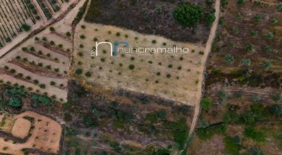 Land in Poço do Canto of 11,872 m²