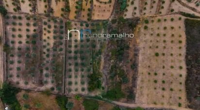 Land in Poço do Canto of 11,872 m²
