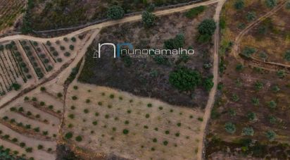 Land in Poço do Canto of 11,872 m²