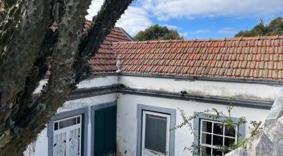 Maison T5 à Santo Amaro de 210 m²