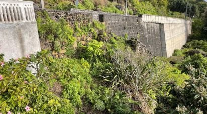 Maison T5 à Santo Amaro de 210 m²