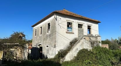 Terrain à Calvaria de Cima de 23 780 m²