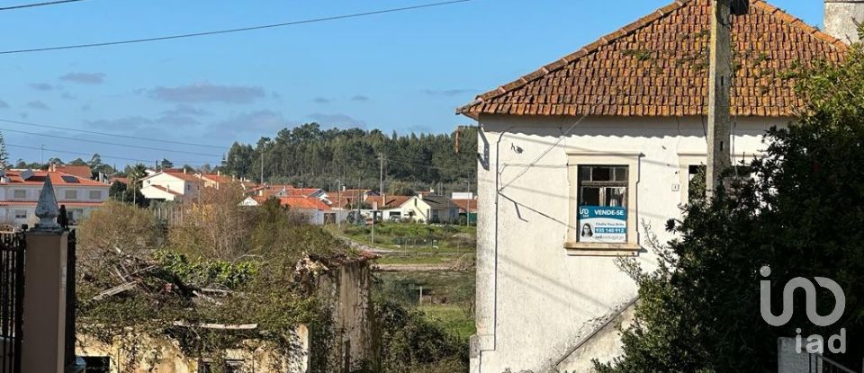 Terreno em Calvaria de Cima de 23 780 m²