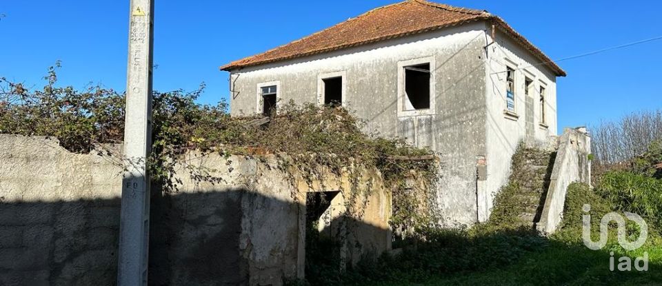 Terreno em Calvaria de Cima de 23 780 m²